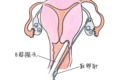 http://weifang.huochezhan.net/post/205.html|潍坊供卵助孕