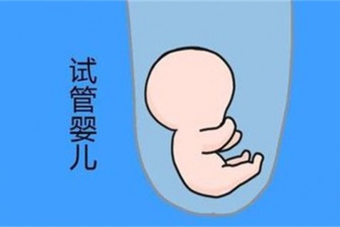 培养潍坊捐卵宝宝艺术细胞的小技巧